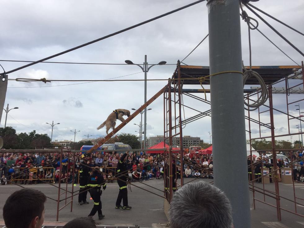 Diez mil personas visitan en Borriana la XV Jornada de Puertas Abiertas sobre Emergencias y Seguridad Pública