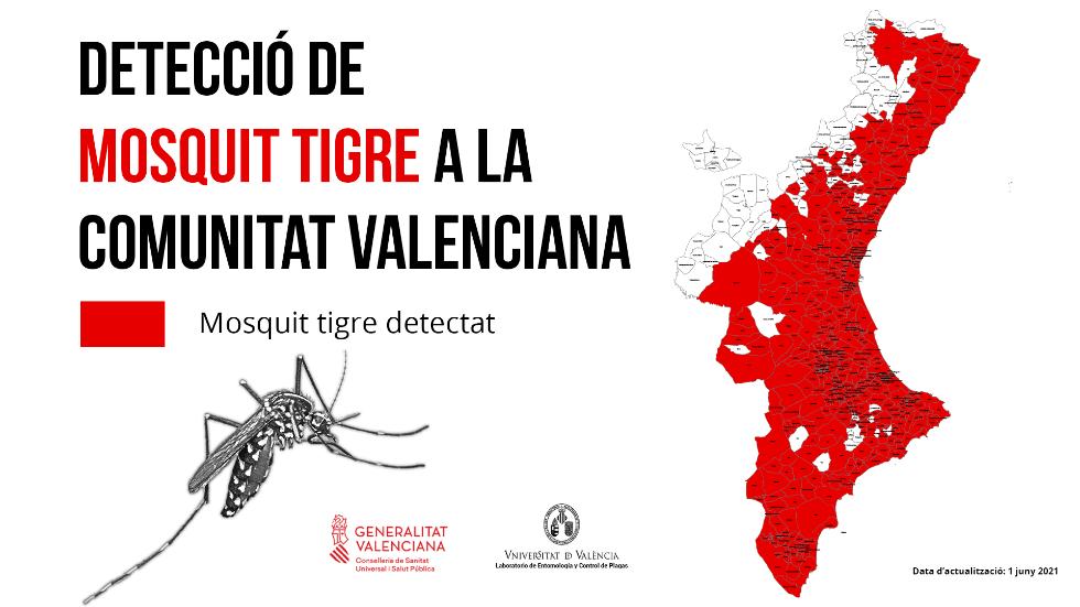 Sanidad destina 350.000 euros a ayudas para erradicar el mosquito tigre en la Comunitat Valenciana