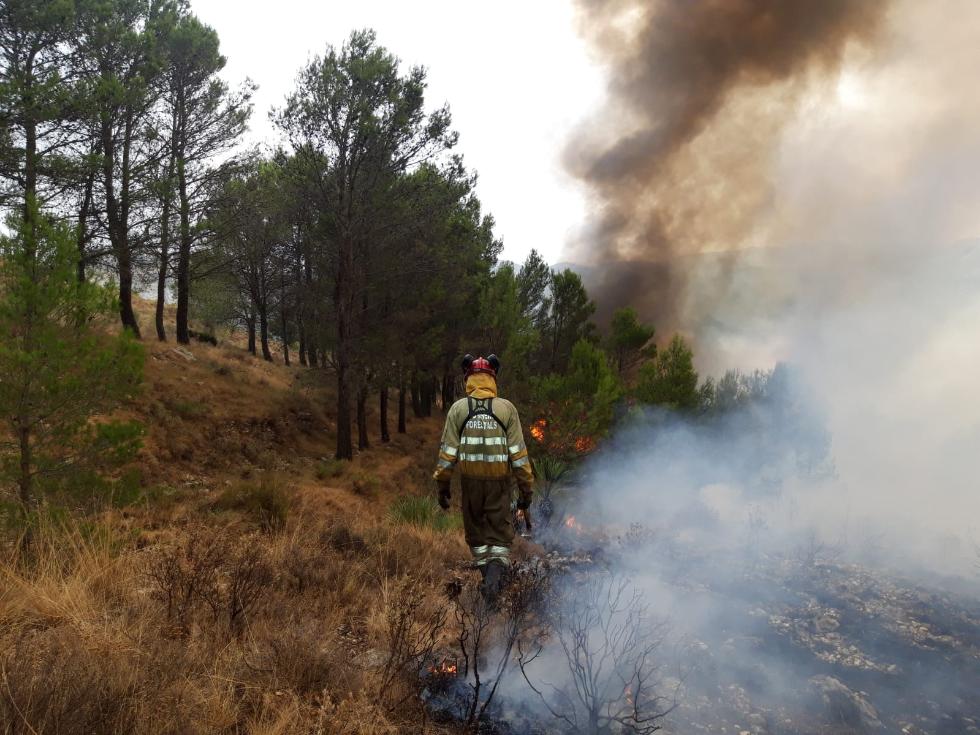 La Generalitat concedeix la Distinció al Mèrit de Protecció Civil als serveis que van participar en l'extinció dels incendis d'aquest estiu