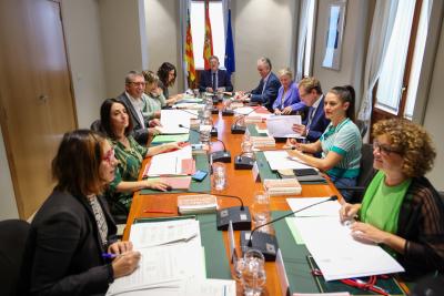 El president de la Generalitat, Ximo Puig, ha presidit el Ple del Consell a Alacant