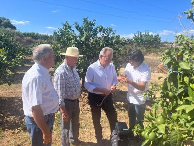 Aguirre anuncia una línia d’ajudes dirigida als agricultors amb explotacions danyades per la fauna salvatge