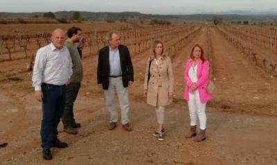 Aguirre visita les vinyes afectades per la forta tempestat del diumenge a la comarca d’Utiel-Requena