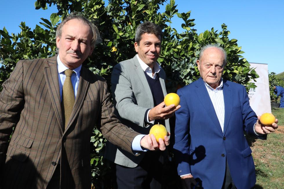 Carlos Mazón muestra el compromiso del Consell por defender y recuperar el protagonismo de la citricultura valenciana
