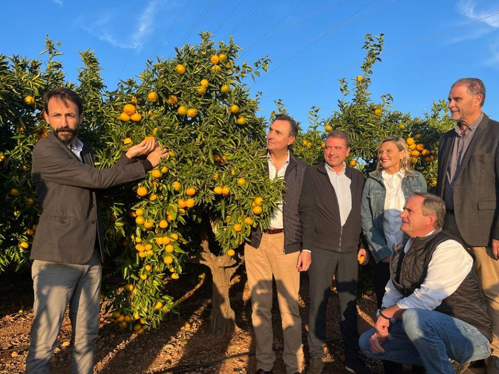 Agricultura dona suport a iniciatives d’unitat que fan valdre la qualitat dels cítrics valencians i beneficien els citricultors locals
