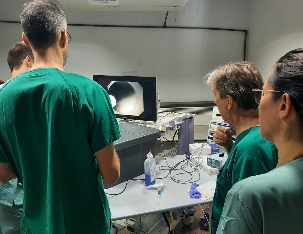 Medicina Digestiva del Hospital Clínico de Valencia forma a especialistas de España y Portugal en dos novedosas técnicas endoscópicas