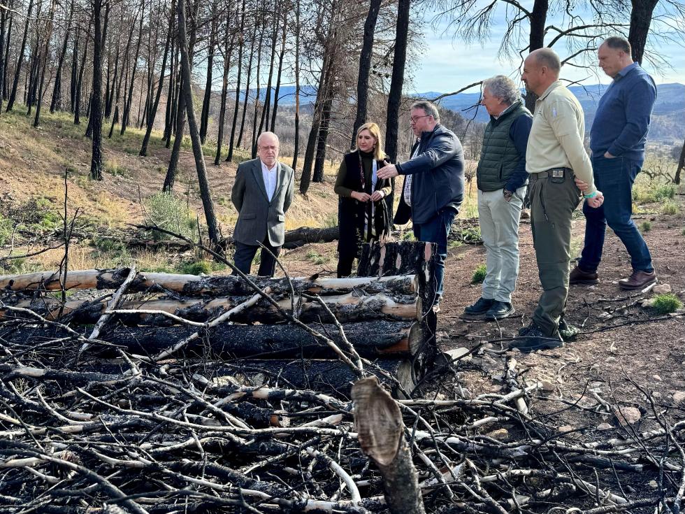 Pradas anuncia una inversión de 1,3 millones en 2024 para la restauración ambiental de los terrenos afectados por el incendio de Bejís del verano ...