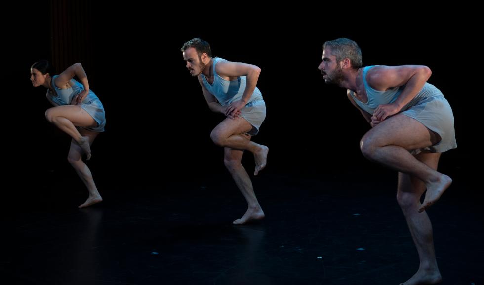 Image 0 of article Cultura impulsa la creación artística valenciana con una muestra específica dentro del festival Dansa València