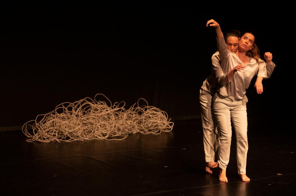 Image 1 of article Cultura impulsa la creación artística valenciana con una muestra específica dentro del festival Dansa València