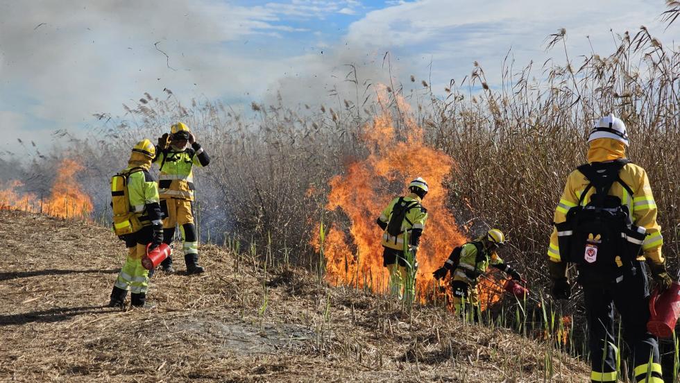 Imagen del artículo Interior realiza una quema prescrita de diez hectáreas de carrizales en el parque natural del Fondo Elche-Crevillente